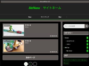 Cocoonオリジナルスキン：ビビッドカラー（黒×グリーン）