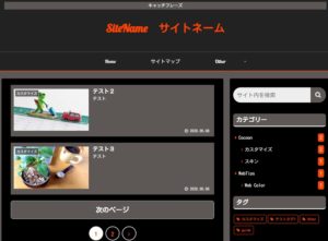 Cocoonオリジナルスキン：ビビッドカラー（黒×オレンジ）