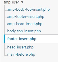 footer-insert.php